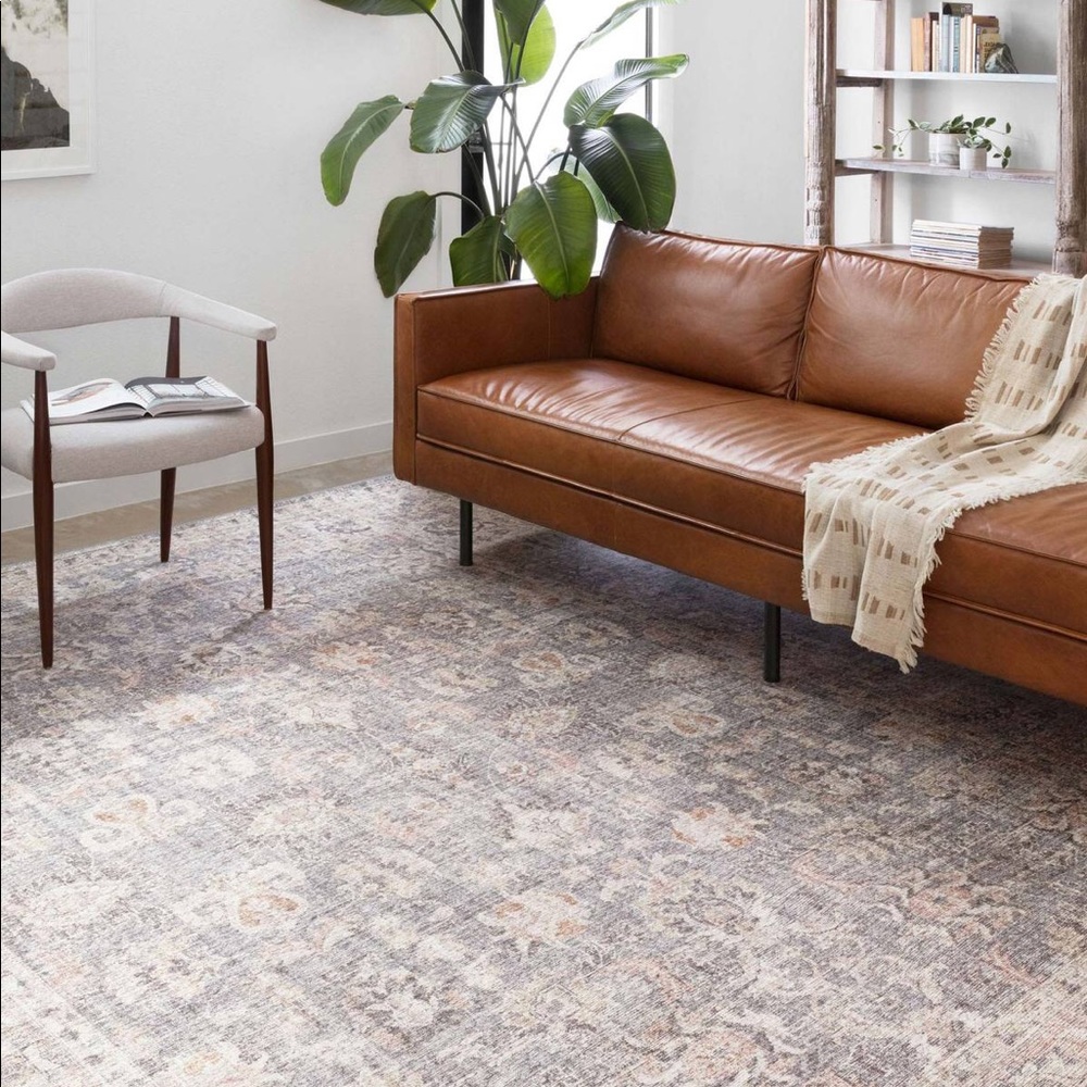 BNWT Loloi Rug Skye Collection in Grey Apricot 4x6